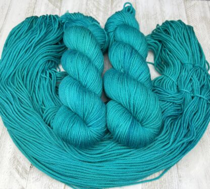 Dragonfly Jade | ALC Yarn Club Tonal of the Month Colorway | Squishy DK (#3 weight) | August 2024